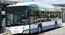 Venezia punta al green con bus elettrici e a idrogeno. Finanziato l'acquisto di circa 140 mezzi con fondi Pnrr