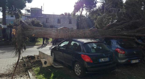 Maltempo, vento e neve flagellano il centro-sud: 5 morti nel Lazio