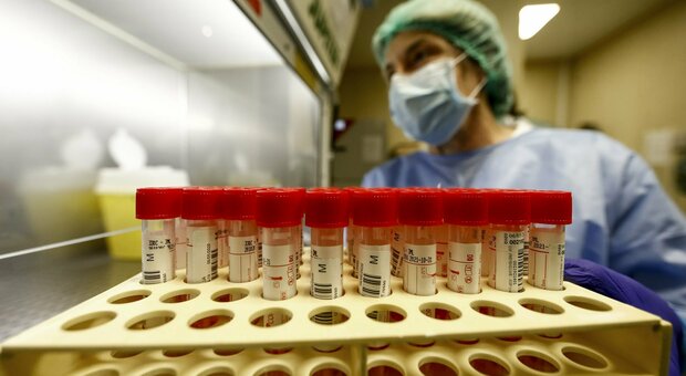 Ieri processati più di duemila tamponi Ieri processati più di duemila tamponi