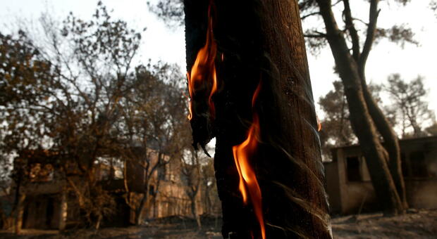 Incendi a nord di Atene, scatta l'emergenza: migliaia di cittadini lasciano le loro case