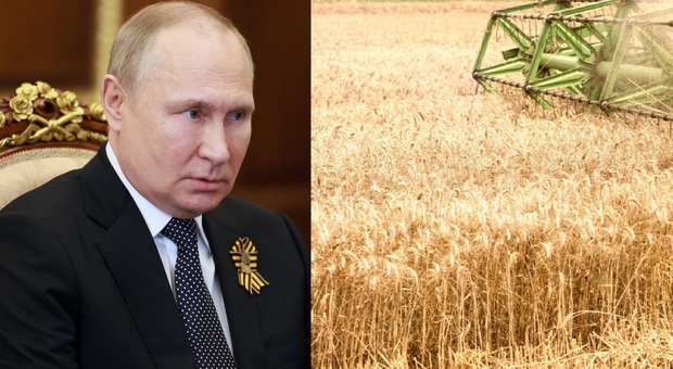 Putin, il piano segreto per far ritirare le sanzioni: «Una "carestia globale" per mettere in ginocchio l'occidente»