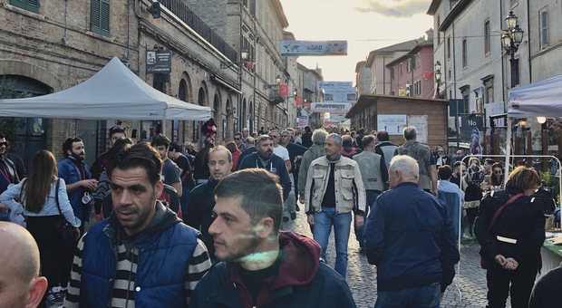 S. Angelo in Vado, grande attesa per il Tartufo d'Oro a Katia Ricciarelli S. Angelo in Vado, grande attesa per il Tartufo d'Oro a Katia Ricciarelli