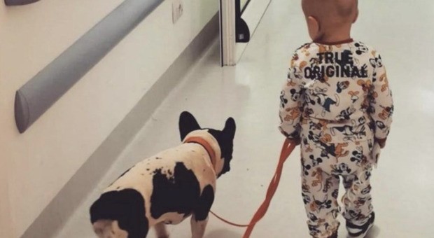 Maya e il bulldog francese a spasso: la foto simbolo della pet therapy conquista il web