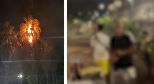 Napoli, fuochi d'artificio per festeggiare un compleanno: un albero in fiamme. «E gli invitati ridono» VIDEO