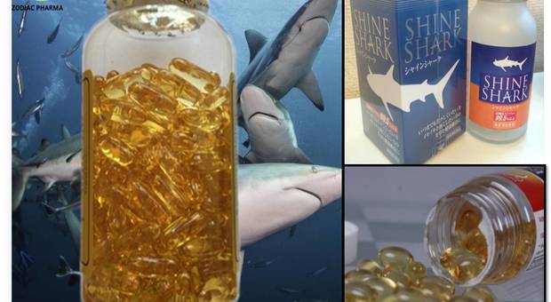 Le pillole di squalene, derivanti dall'olio di fegato degli squali, sono vendute anche nei Paesi occidentali, Italia compresa. (immagini tratte da siti commerciali quali Zodiac Pharma e italian alibaba.com) Le pillole di squalene, derivanti dall'olio di fegato degli squali, sono vendute anche nei Paesi occidentali, Italia compresa. (immagini tratte da siti commerciali quali Zodiac Pharma e italian alibaba.com)
