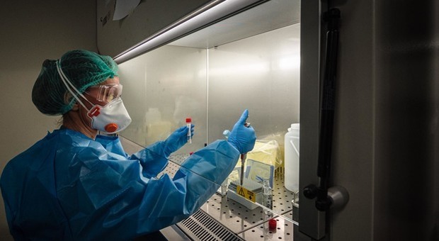Coronavirus, al via sperimentazione farmaco anti artrite al Cotugno di Napoli Coronavirus, al via sperimentazione farmaco anti artrite al Cotugno di Napoli