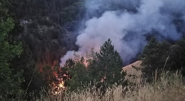 Incendio in un capannone agricolo: strage di galline Incendio in un capannone agricolo: strage di galline