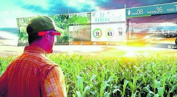 Il 5G trasforma la campagna: boom degli investimenti nell agricoltura intelligente