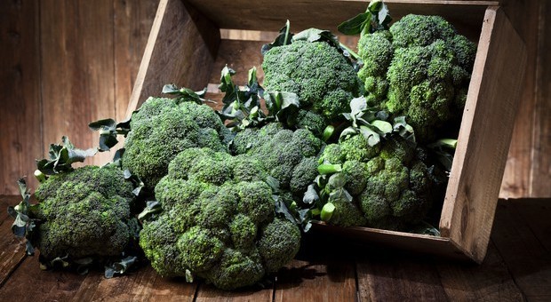 Arriva il caffè a base di broccoli: vitamine in tazza. In Australia si serve nei bar