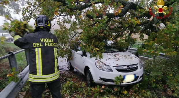 Paura sulla Chiaravallese: un albero si abbatte su un'auto in transito, la conducente all'ospedale