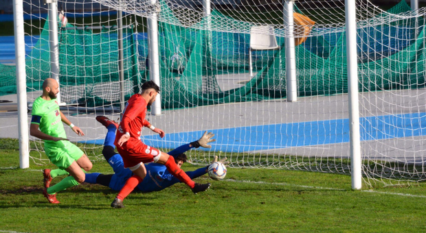 Matteo Perri, 24 anni, in gol con la Jesina