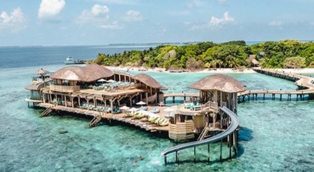 Gestire una libreria a piedi nudi su un atollo delle Maldive: come candidarsi per il lavoro dei sogni