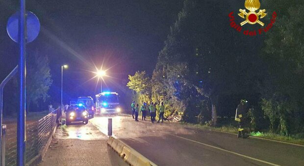 Treviso, chi sono i 4 ragazzi morti nell'incidente a Godega: erano maggiorenni da pochi mesi