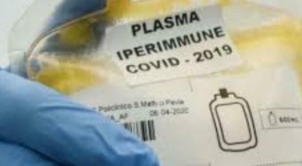 Plasma iperimmune, l Avis invita alla donazione: le scorte per curare i malati di Covid sono esaurite a Marche Nord