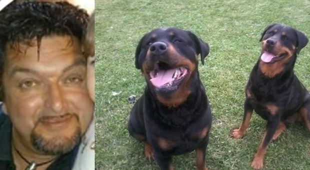 Azzannato dai rottweiler della compagna in giardino, Massimo muore dissanguato a 49 anni Azzannato dai rottweiler della compagna in giardino, Massimo muore dissanguato a 49 anni