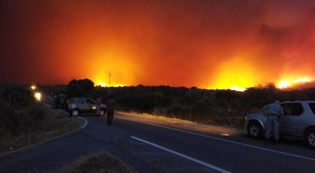 Incendi in Sardegna, l'aiuto del birrificio Ichnusa per acquistare un mezzo dei vigili del fuoco