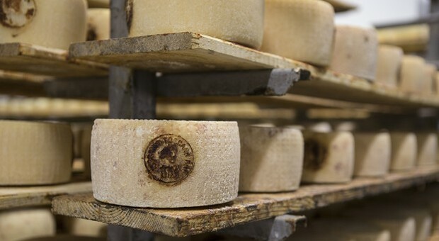 Alimentare: firmato accordo Cina-Ue sulle Dop Alimentare: firmato accordo Cina-Ue sulle Dop