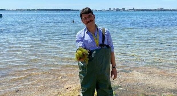 Dalle alghe coltivate nel mar Piccolo di Taranto un biostimolatore per i terreni: vince l'Oscar Green