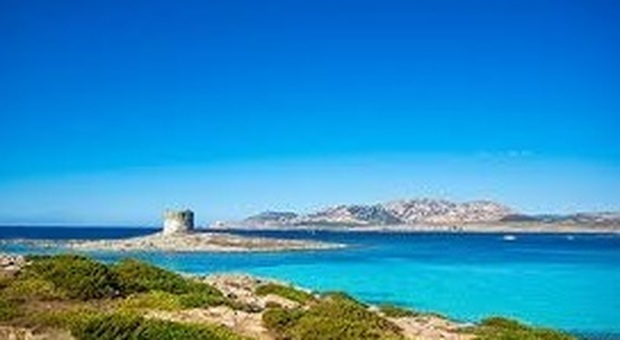 L'Asinara, un gioiello splendente nella grande cornice della Sardegna L'Asinara, un gioiello splendente nella grande cornice della Sardegna