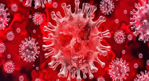 Continua la ritirata del Coronavirus: sono 170 i comuni Covid free nelle marche/ La lista completa