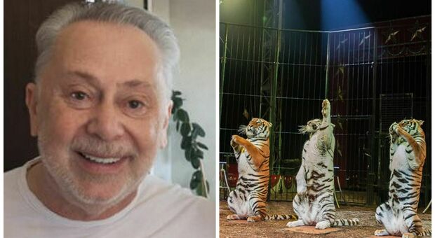 Lele Mora ospite d'eccezione del Circo Americano più importante d'Italia entrerà in una gabbia con tre tigri