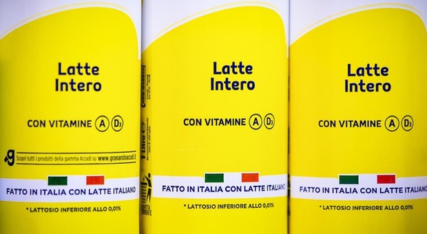 Latte: manifestazioni a Cremona e Malles contro misure Ue Latte: manifestazioni a Cremona e Malles contro misure Ue