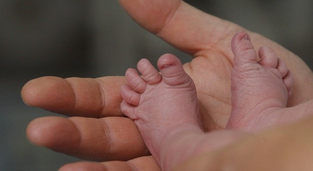 Coronavirus e desiderio di gravidanza: riapre in sicurezza il Centro di procreazione assistita Coronavirus e desiderio di gravidanza: riapre in sicurezza il Centro di procreazione assistita