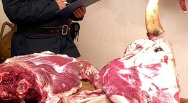 Napoli, sequestrati sei quintali di pesce e carne marci e invasi dai parassiti Napoli, sequestrati sei quintali di pesce e carne marci e invasi dai parassiti