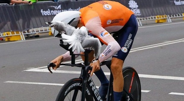 Pesce disegnato sulla maglia, Mollema attaccato da un gabbiano in gara al mondiale di ciclismo FOTO