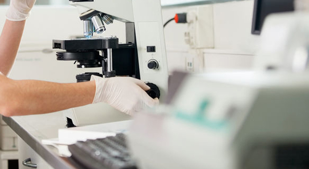 Coronavirus, endometriosi tra dubbi e falsi miti. Boom di accessi nella community sul web Coronavirus, endometriosi tra dubbi e falsi miti. Boom di accessi nella community sul web