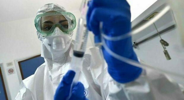 Cina, scoperto un nuovo virus: il Langya ha infettato 35 persone, attacca fegato e reni. Ecco quali sono i sintomi