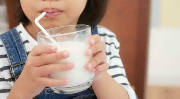 Covid, da proteina del latte un aiuto per combattere il virus: lattoferrina protegge il sistema immunitario