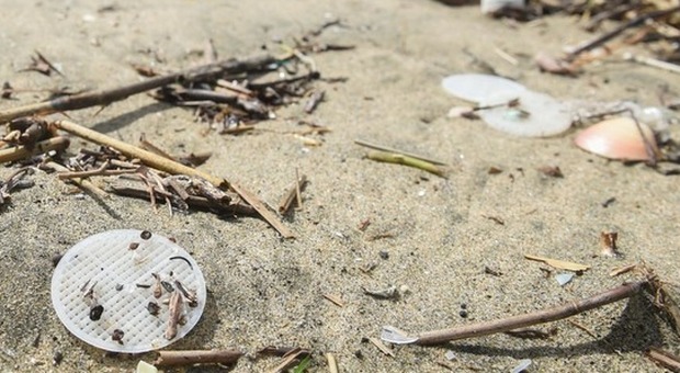 Dischetti di plastica in spiaggia, svelato il mistero: fuoriusciti da impianto sul Sele