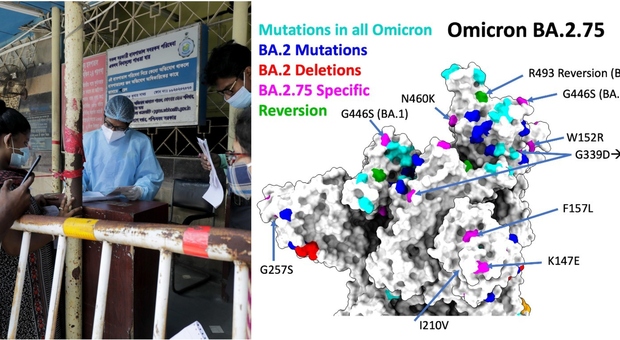 Omicron, nuova super variante (BA.2.75) in India. «Nove mutazioni, potrebbe evadere l'immunità di BA5»