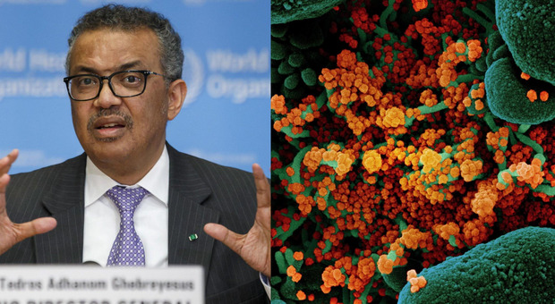 Coronavirus, l'Oms: «Non è un'epidemia stagionale, ci sarà un'unica ondata» Coronavirus, l'Oms: «Non è un'epidemia stagionale, ci sarà un'unica ondata»