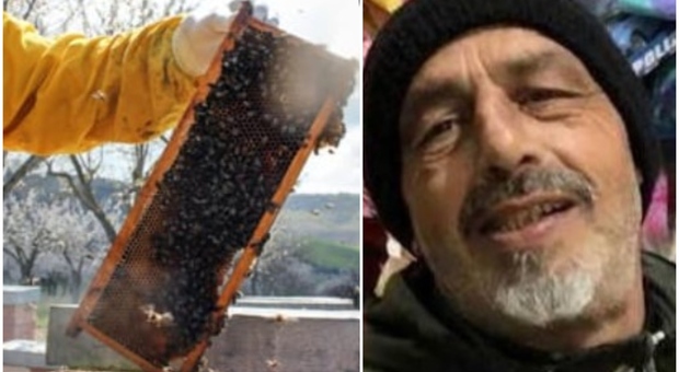 Sciame di api e calabroni lo assale, muore per choc anafilattico: Salvatore Ruggeri aveva 59 anni