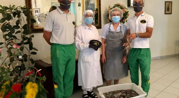 Pesca di frodo, sequestrati 100 chili di polipi: maxi multe Pesca di frodo, sequestrati 100 chili di polipi: maxi multe