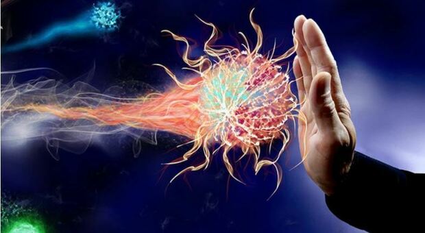 Faq, sistema immunitario: come capire se funziona bene e come rafforzarlo?