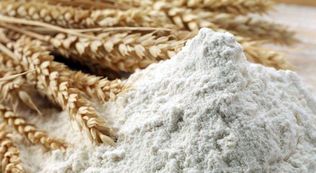 Trova zampette di topo nel pacco di farina comprato al supermercato: stabilimento chiuso dai Nas Trova zampette di topo nel pacco di farina comprato al supermercato: stabilimento chiuso dai Nas