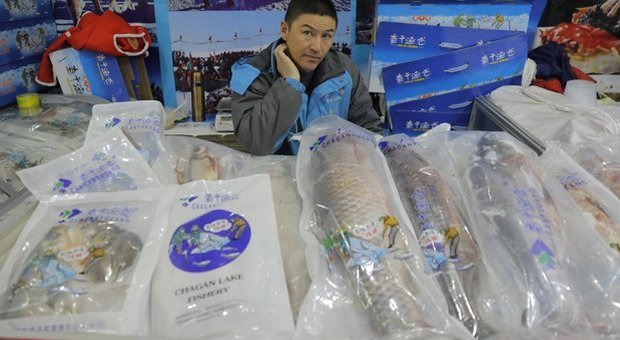 Nuova epidemia di Covid19 a Pechino. La Cina: «Colpa del salmone europeo». La Norvegia si difende
