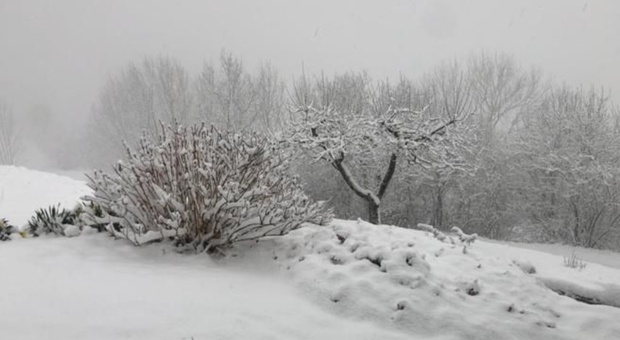 Maltempo in Piemonte, neve in collina e temperature fino a -20 in montagna