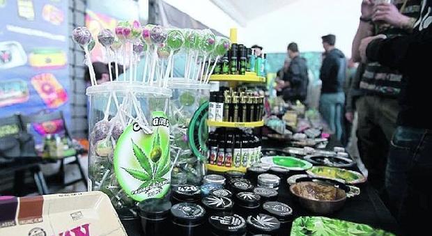 Cannabis Day, Cappato fermato dalla polizia: ha piantato semi sotto il Pirellone