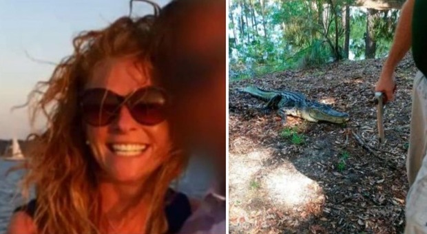 Donna uccisa da un alligatore: si era lanciata in acqua per difendere il suo cane