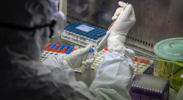 Virus, uno studio su Lancet: «La clorochina aumenta il rischio di mortalità» Virus, uno studio su Lancet: «La clorochina aumenta il rischio di mortalità»