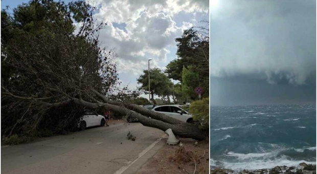 Tromba d'aria in Salento: bagnanti in fuga dalla spiaggia, alberi sradicati distruggono auto