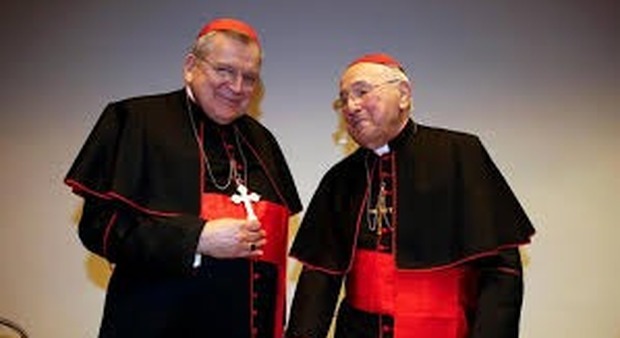 Papa Francesco, cardinale punta il dito sul documento preparatorio del Sinodo sull'Amazzonia, è «eretico»