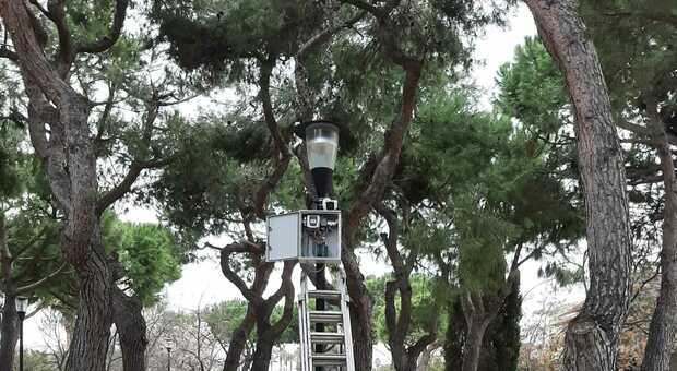 Cinque telecamere nella pineta dei Bersaglieri: ecco lo strumento per fermare i raid dei vandali