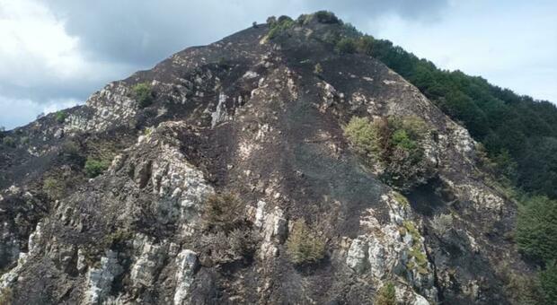 I danni sul monte Raut I danni sul monte Raut