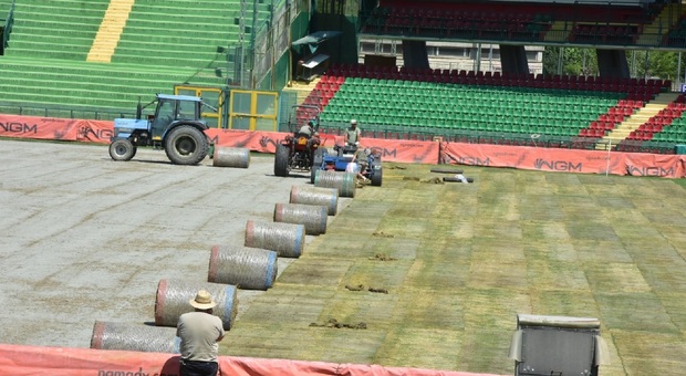 Si rizolla lo stadio di Terni, i nuovi rotoli di erba sono già arrivati e vengono stesi