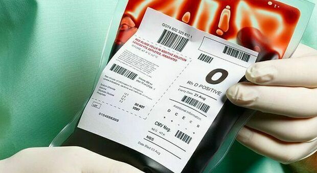 Covid, l'Università di Bari: «Più a rischio morte chi ha un certo tipo di gruppi sanguigni». Ecco quali